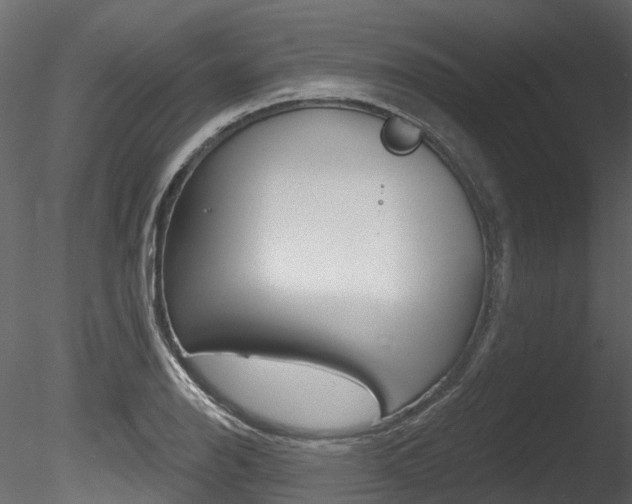 X0000085821126200703161048