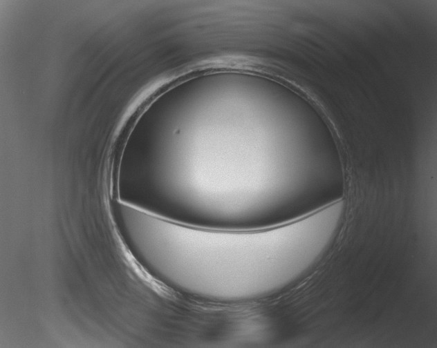 X0000085821131200703161048