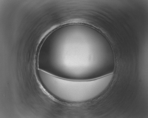 X0000085821134200703161049