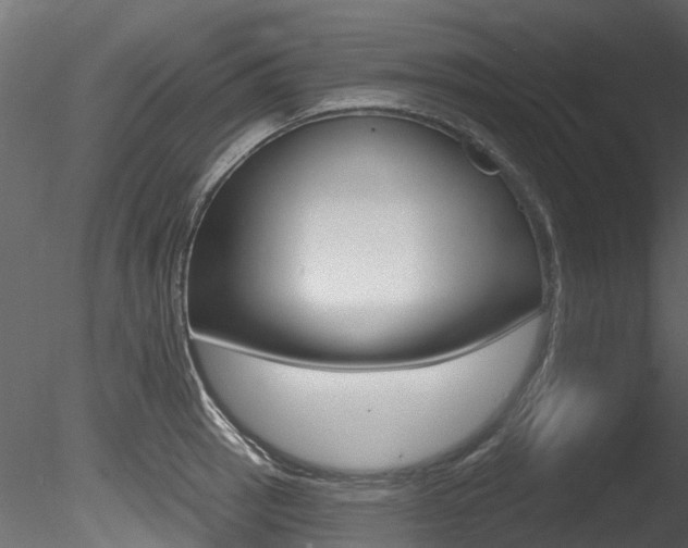 X0000085821137200703161049