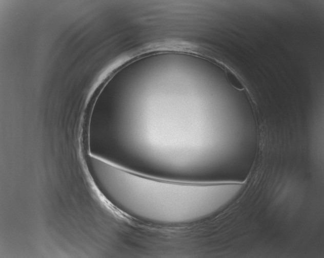 X0000085821139200703161049