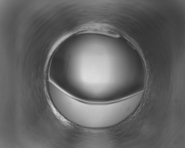 X0000085821152200703161049