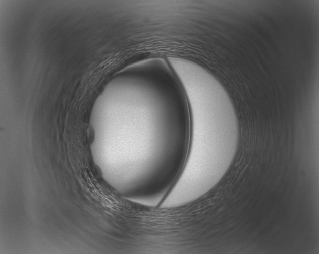 X0000085821153200703161048