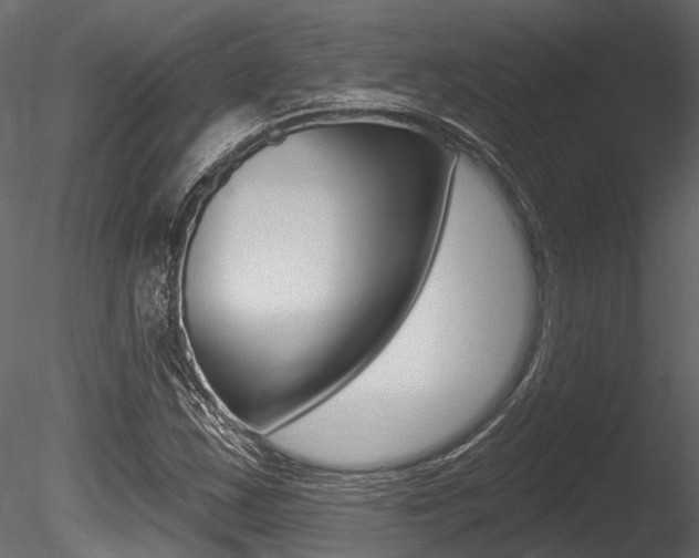 X0000085821163200703161048