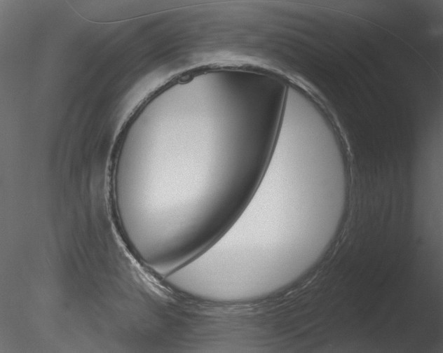 X0000085821183200703161047