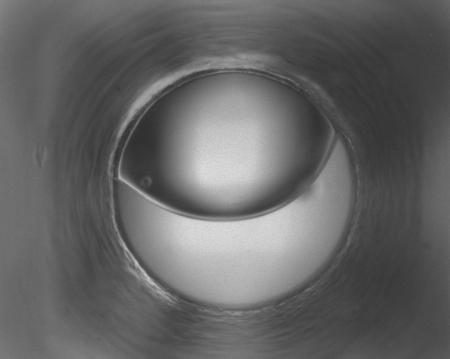 X0000085821184200703161047