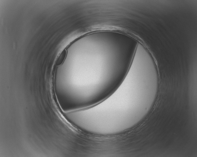X0000085821187200703161047