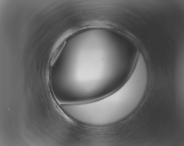 X0000085821188200703161047