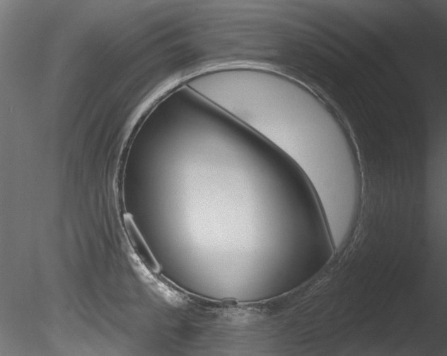 X0000085821189200703161047