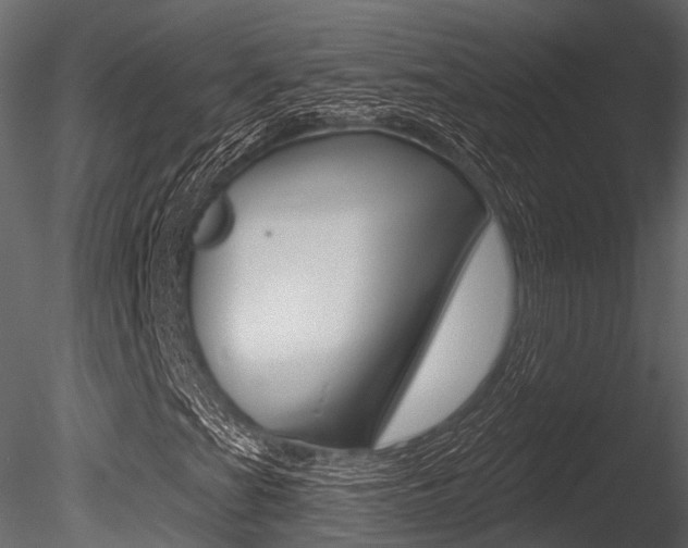 X0000085821201200703161046
