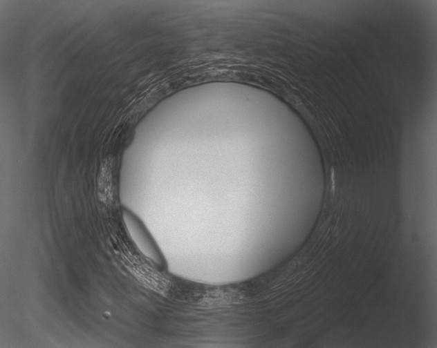 X0000085821203200703161046