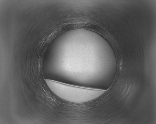 X0000085821204200703161046
