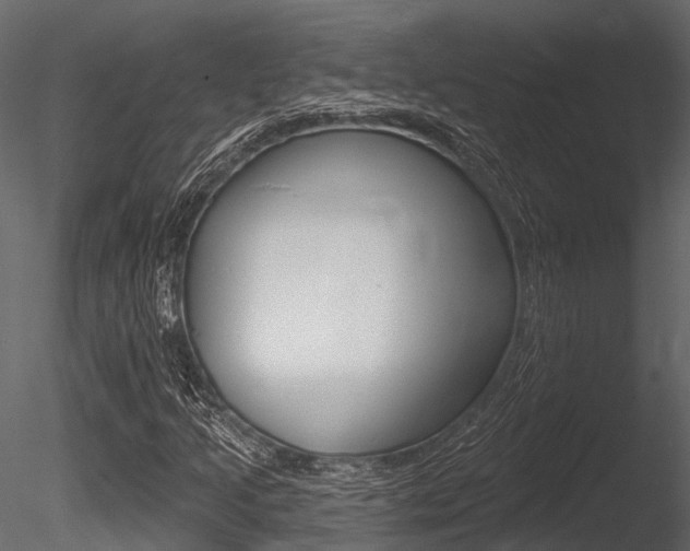 X0000085821205200703161046