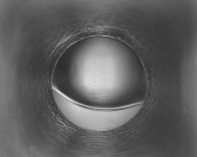 X0000085821206200703161046