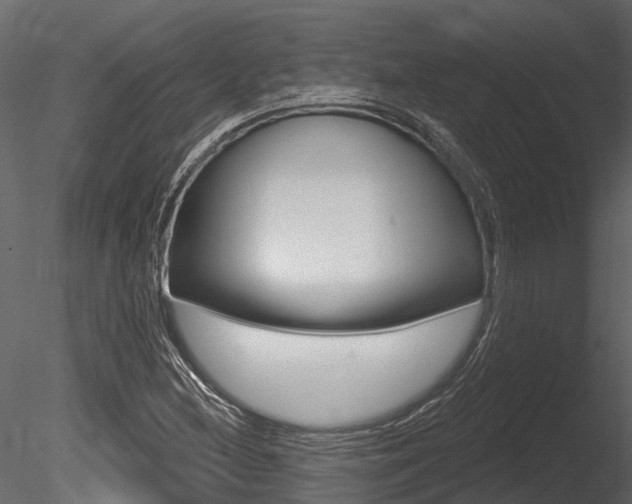 X0000085821212200703161047
