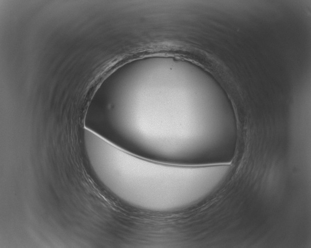 X0000085821217200703161047