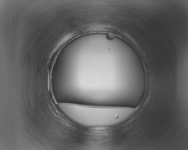 X0000085821219200703161047