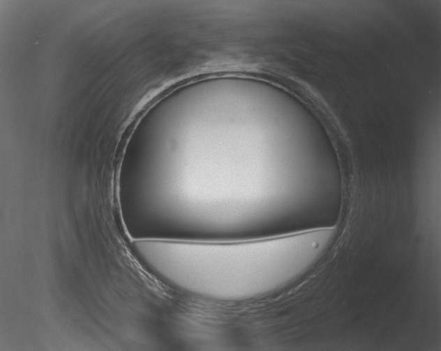 X0000085821220200703161047