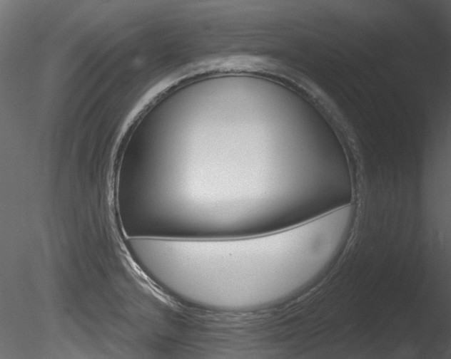 X0000085821232200703161047