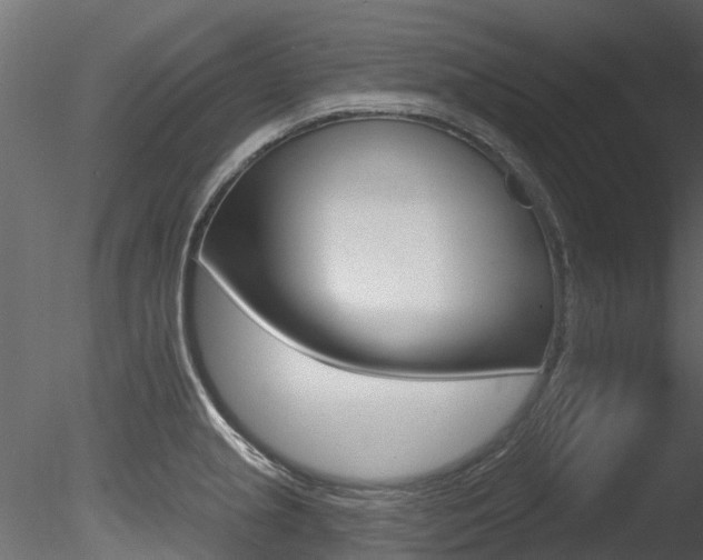 X0000085821237200703161047