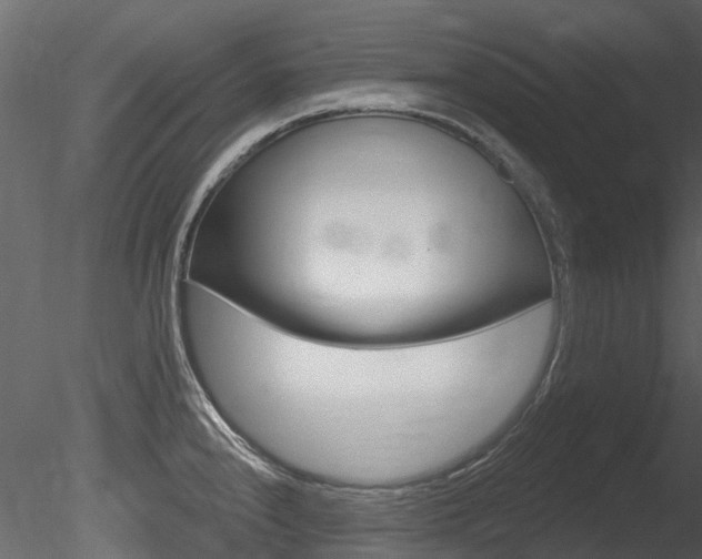 X0000085821240200703161047