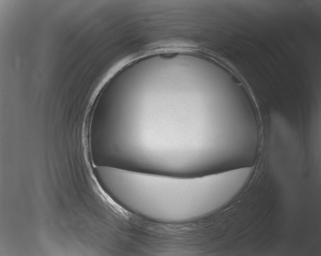 X0000085821243200703161047