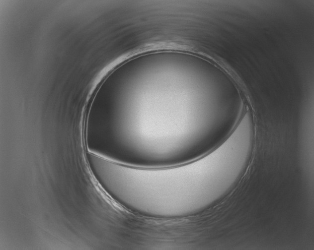 X0000085821246200703161047