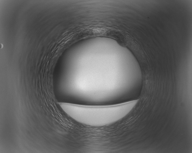 X0000085821249200703161046