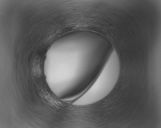 X0000085821250200703161046
