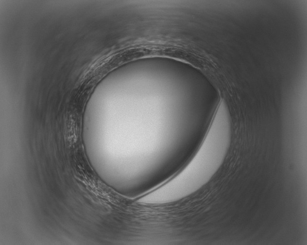 X0000085821253200703161046
