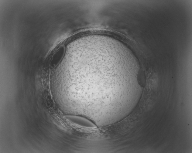 X0000085821255200703161046