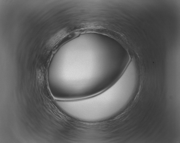 X0000085821257200703161046