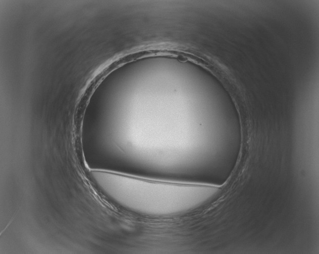 X0000085821264200703161046