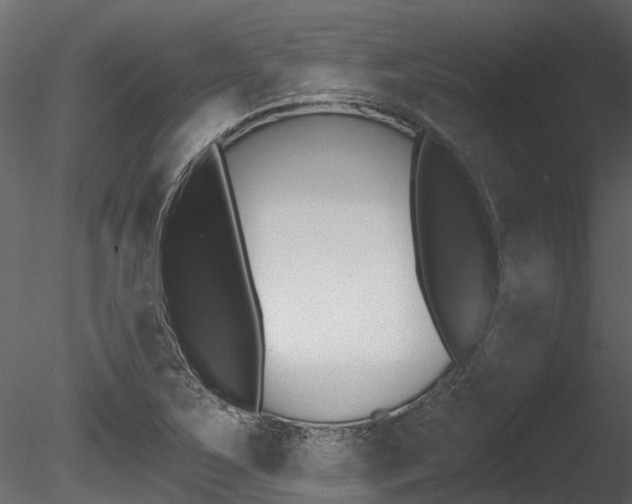 X0000085821267200703161046