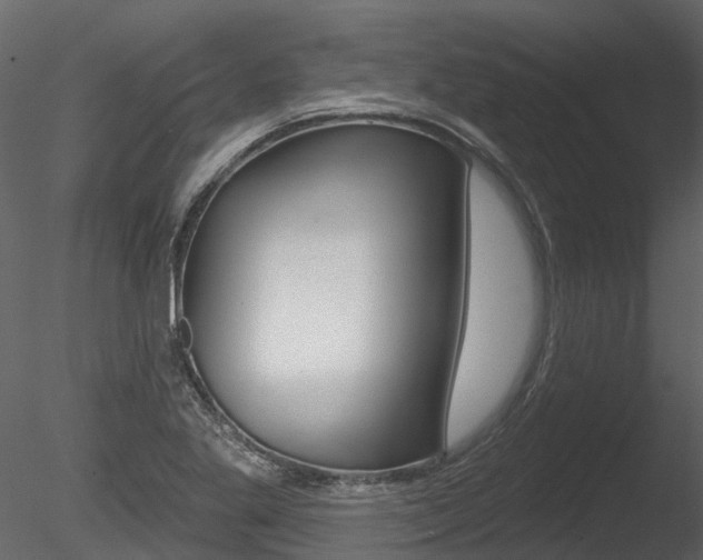X0000085821269200703161046