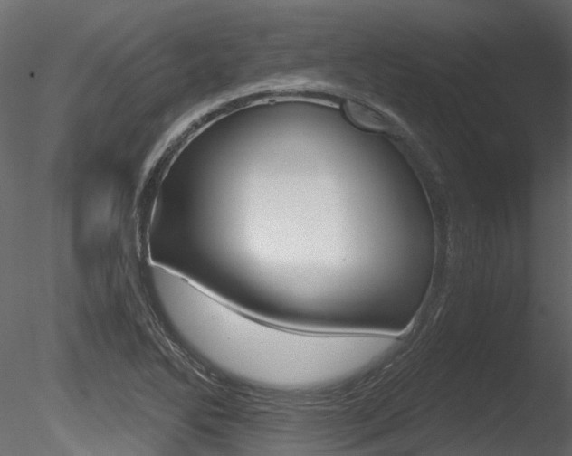 X0000085821270200703161046