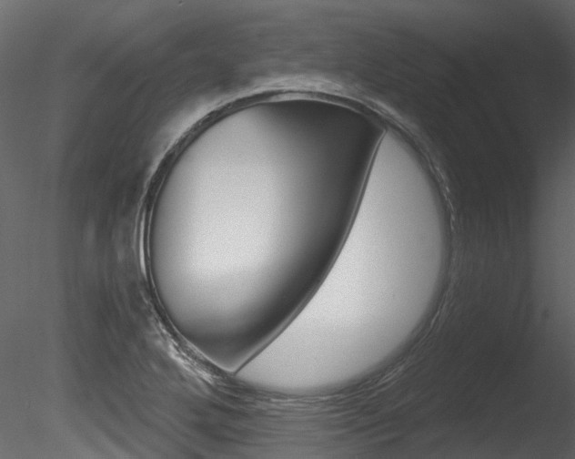 X0000085821272200703161046