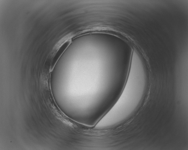 X0000085821273200703161046