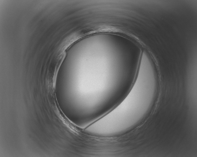 X0000085821281200703161046