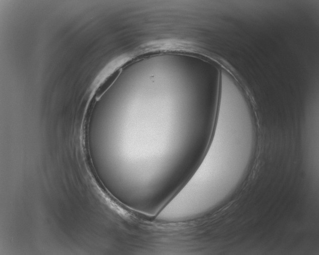 X0000085821285200703161046