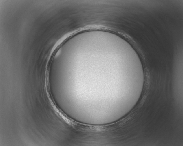 X0000085821286200703161046