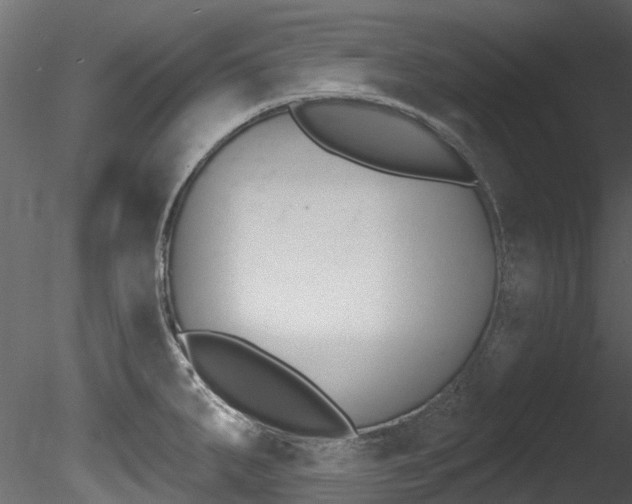 X0000085821287200703161046