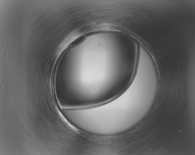 X0000085821293200703161046