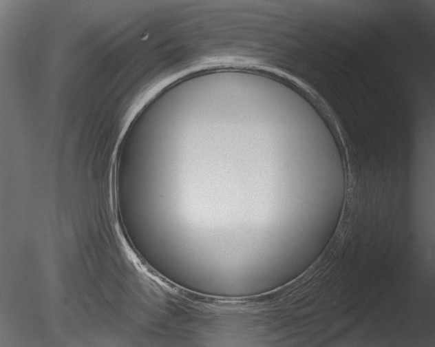 X0000085821295200703161046