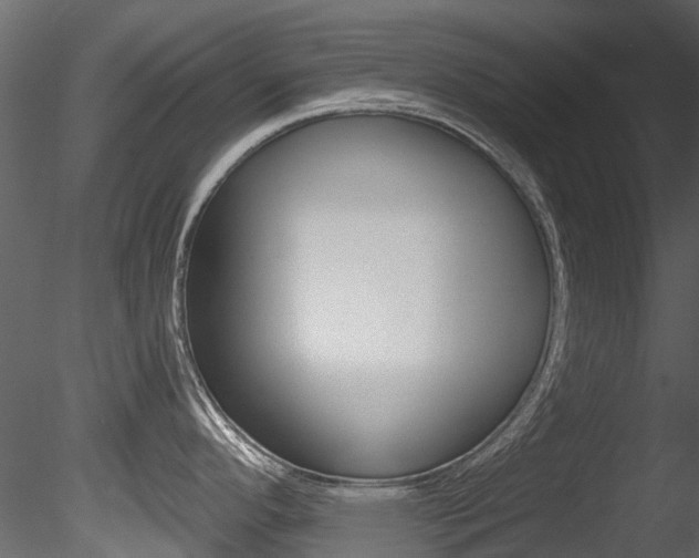 X0000085821296200703161046