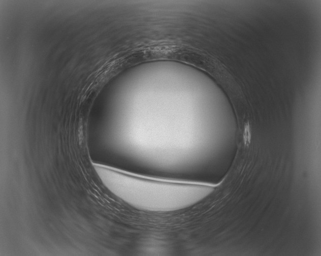 X0000085821299200703161045