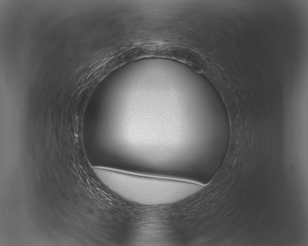 X0000085821301200703161045