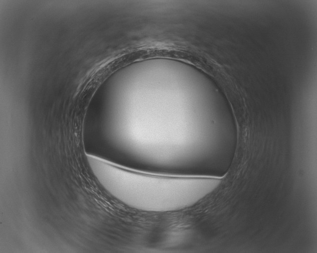 X0000085821303200703161045