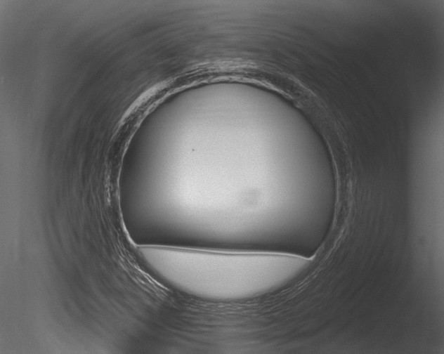 X0000085821306200703161045