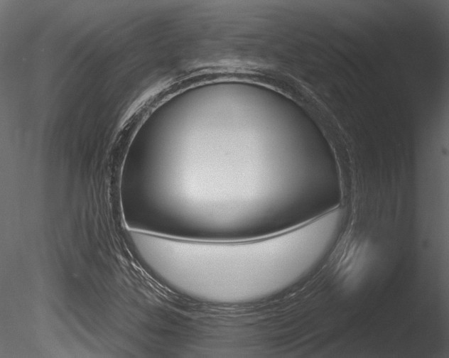X0000085821307200703161045